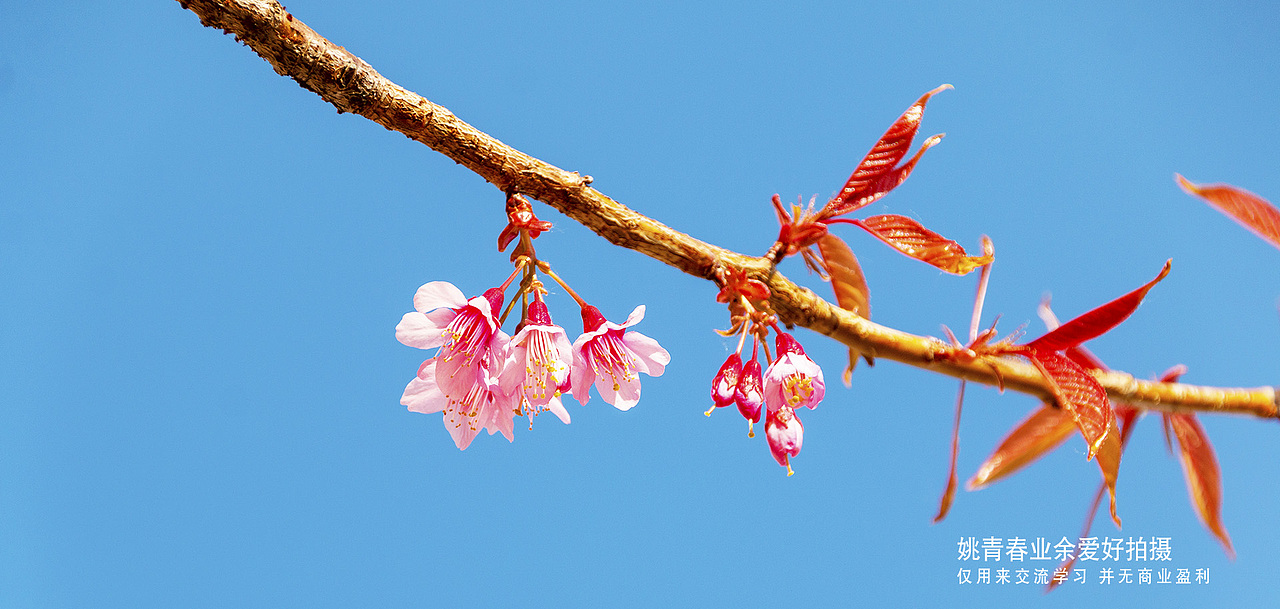 云南旅游攻略自助游必去自然风光山水风景姚青春照片（图ZMjU2MzczODAw） - 风光摄影 - 站酷设计师姚青春有你原创素材 - 站酷ZCOOL