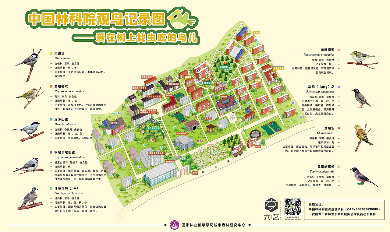 中国林科院春夏秋冬四季鸟类分布导览图集团手绘地图