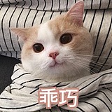 CHEN晚晴的头像