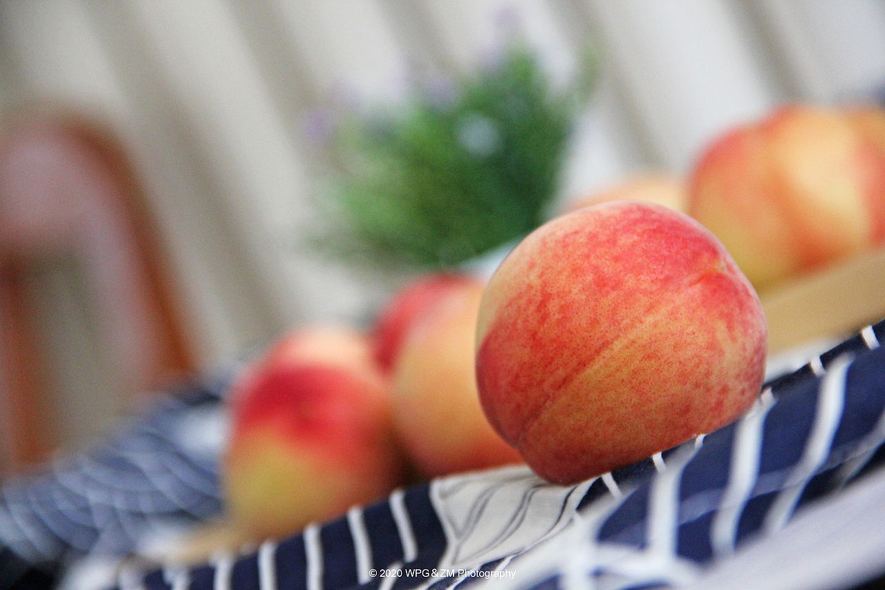 《 六月の尾 》