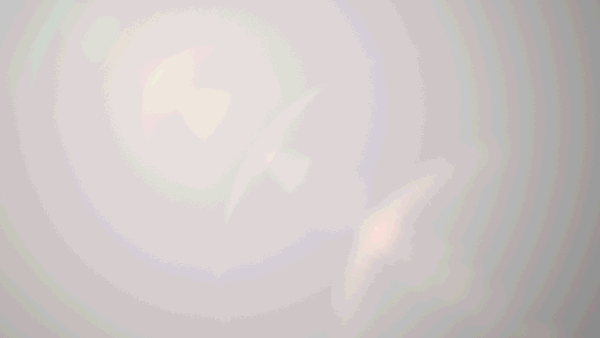 MITU秘兔APP（图ZMTkyMjYxMjk2） - APP界面 - 站酷设计师阿森Visent原创素材 - 站酷ZCOOL
