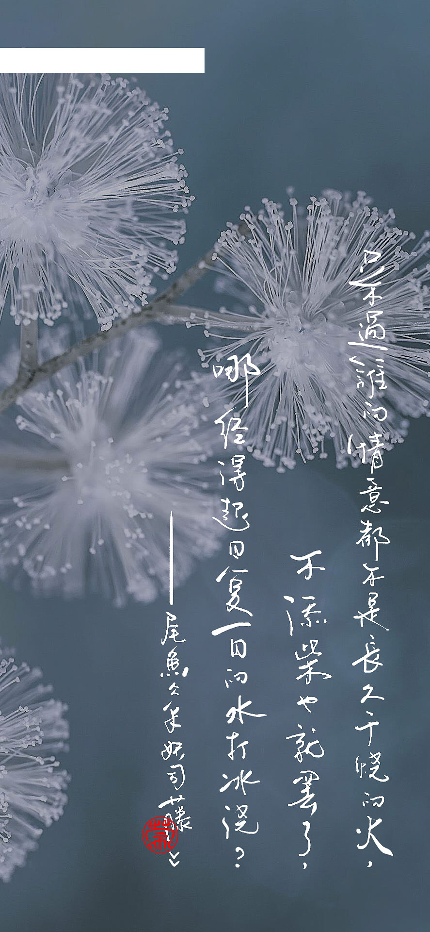 数位板手写小字 壁纸|平面|字体/字形|零雨其蒙蒙_原创作品-站酷zcool