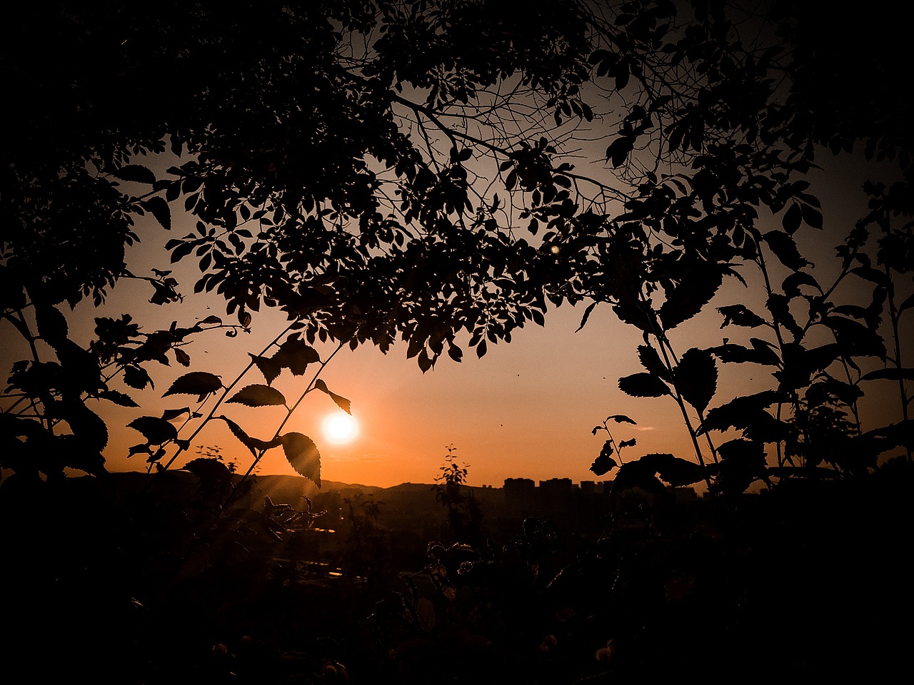 手机摄影作品(乌鲁木齐)