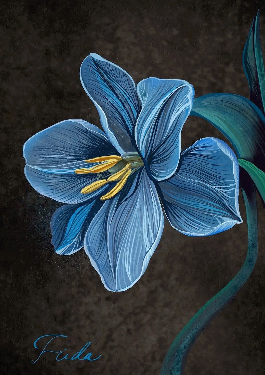 百合，罂粟 花卉插画练习（图ZMjMzMzI4OTQw） - 创作习作 - 站酷设计师FridaLv原创素材 - 站酷ZCOOL