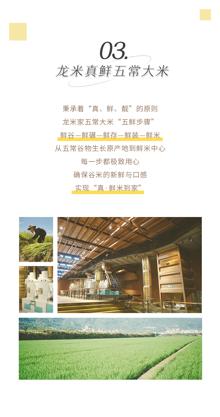 新媒体软文——龙米罐装鲜米·杂粮组合