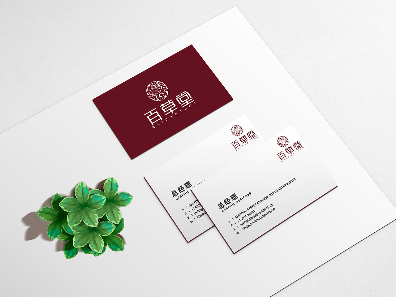 百草堂品牌LOGO设计（图ZMjAyMTY5NzA0） - Logo - 站酷设计师艾普西龙品牌设计原创素材 - 站酷ZCOOL