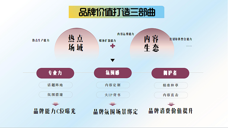 2023菲诺椰子饮料微博线上传播合作方案-49P
