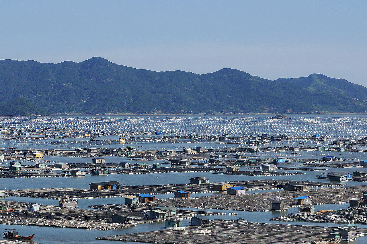 霞浦·东安鱼排