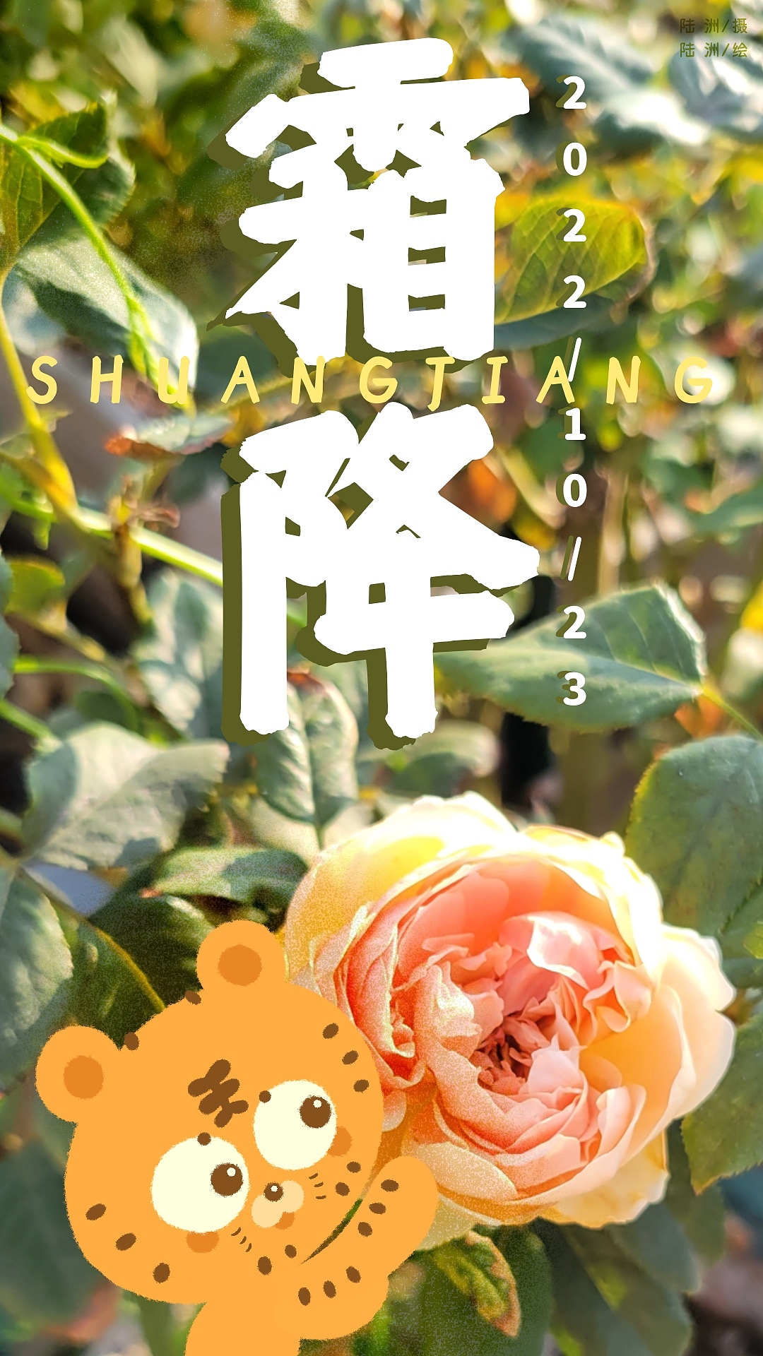 【2022】二十四节气海报(图ZMzYyMjM1MzQw) - 海报 - 站酷设计师A_ZHOU_ZHOU原创素材 - 站酷ZCOOL