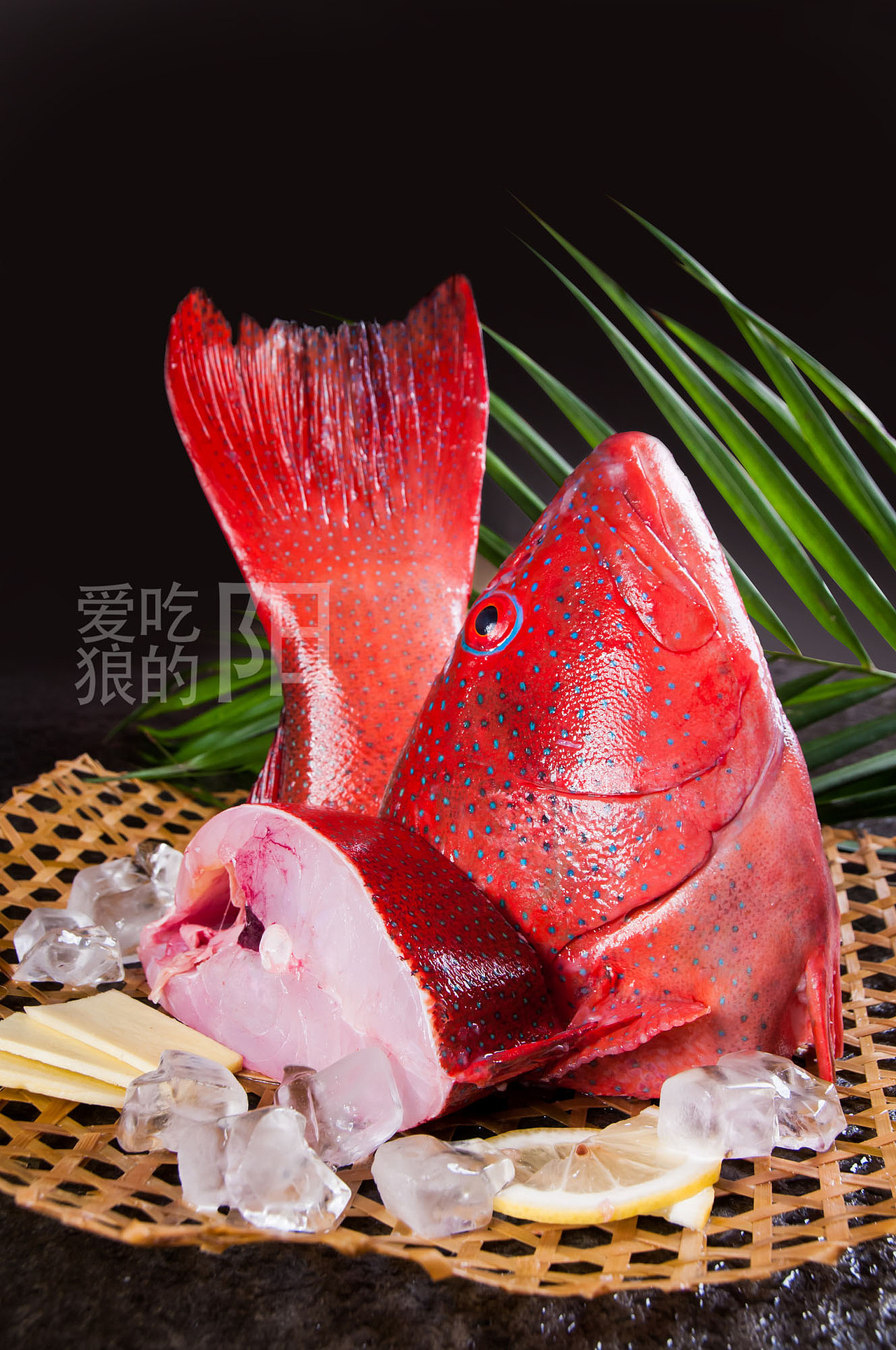 美食摄影（图ZOTY1OTc2NzI=） - 其他摄影 - 站酷设计师爱吃狼的阳原创素材 - 站酷ZCOOL