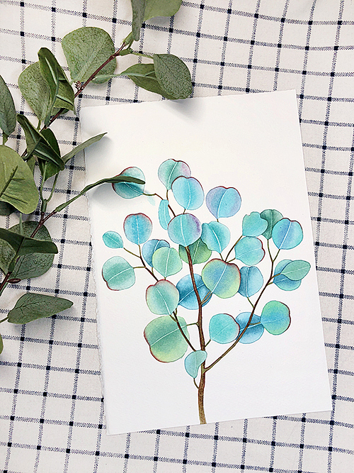 水彩绿叶-尤加利