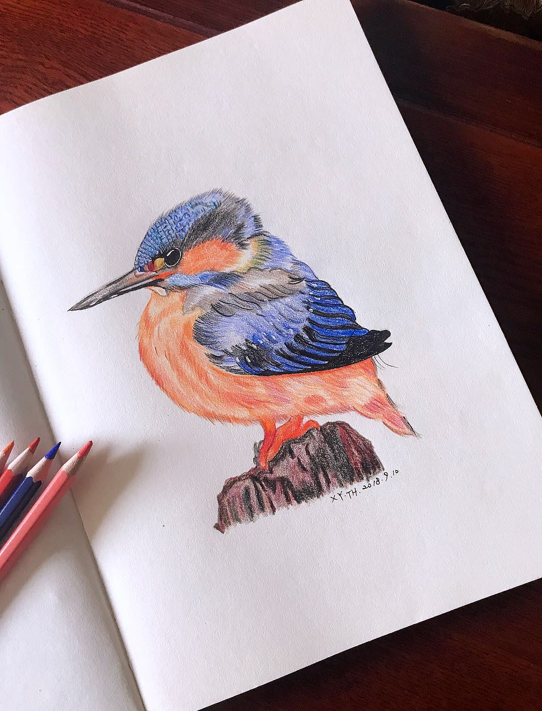 彩铅，针管笔作品（图ZMTY0MDM4ODA4） - 创作习作 - 站酷设计师英子手绘插画控原创素材 - 站酷ZCOOL