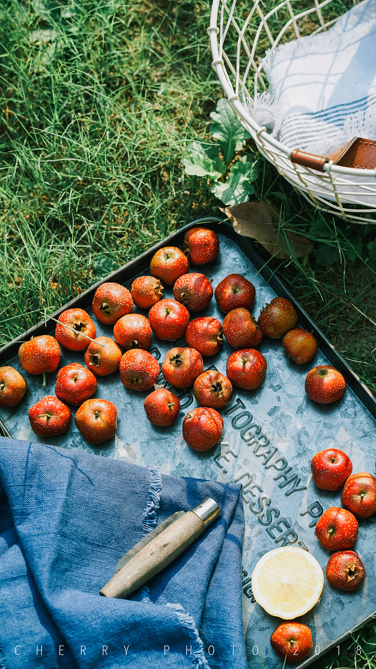 秋日，不负阳光（图ZMTMxMDkxOTIw） - 产品摄影 - 站酷设计师车厘子姑娘原创素材 - 站酷ZCOOL