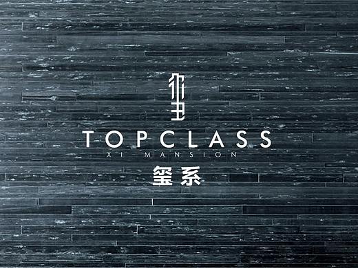 招商蛇口玺系产品系列logo提案