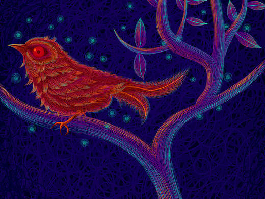 線圈插畫(huà)-鳥(niǎo)（個(gè)人主頁(yè)-ZNTcxODUwNDA=） - 創(chuàng)作習(xí)作 - 站酷設(shè)計(jì)師南巢Li原創(chuàng)素材 - 站酷ZCOOL