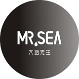大海先生品牌设计的头像
