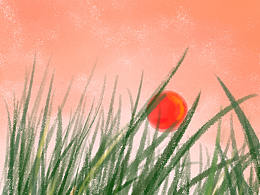 风景速途-记录美好