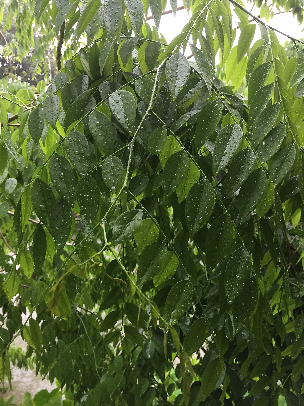 最美的不是下雨天