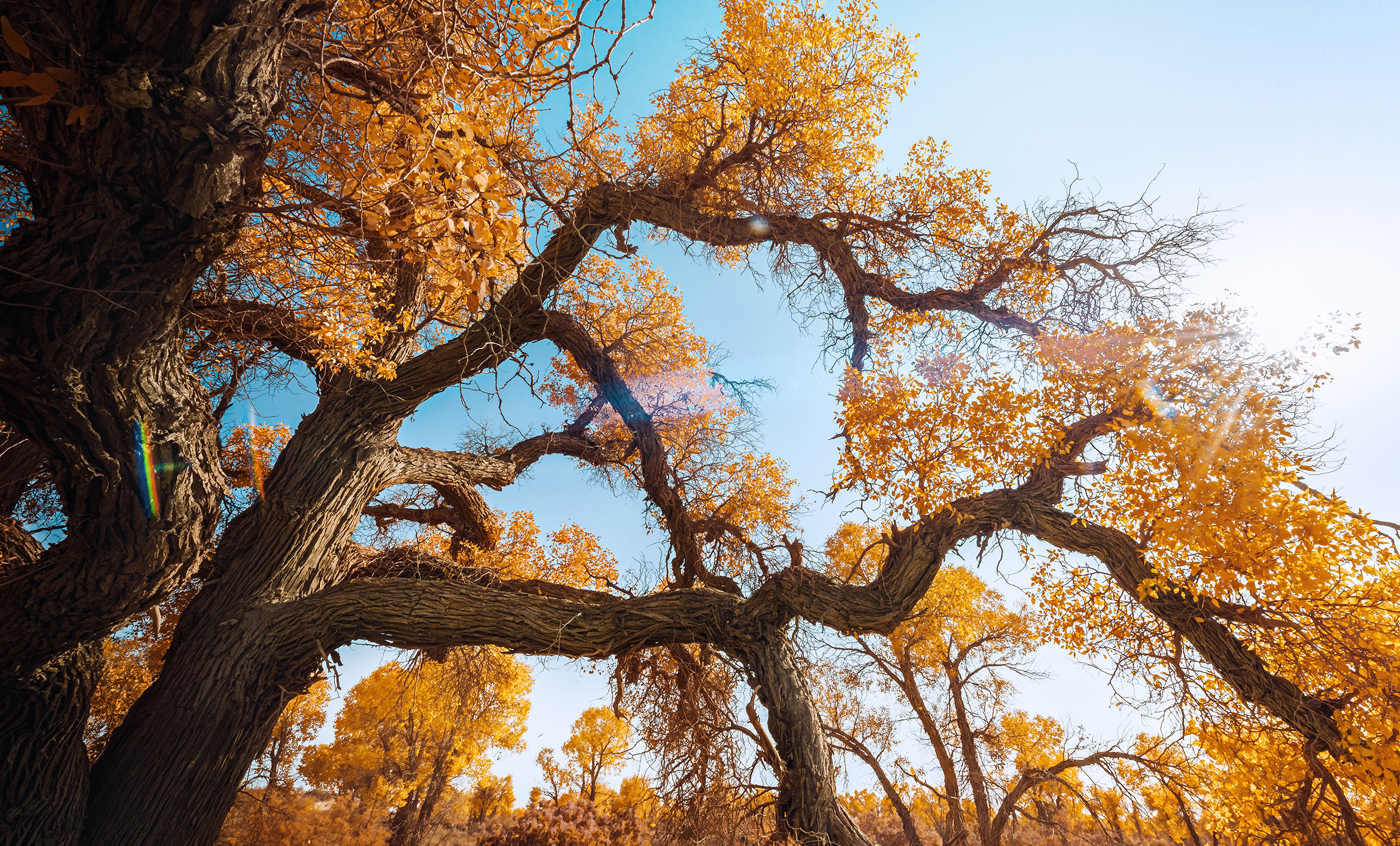 李文野的個(gè)人主頁(yè)（封面預(yù)覽） - 主頁(yè)封面設(shè)置 - 站酷設(shè)計(jì)師李文野原創(chuàng)素材 - 站酷ZCOOL