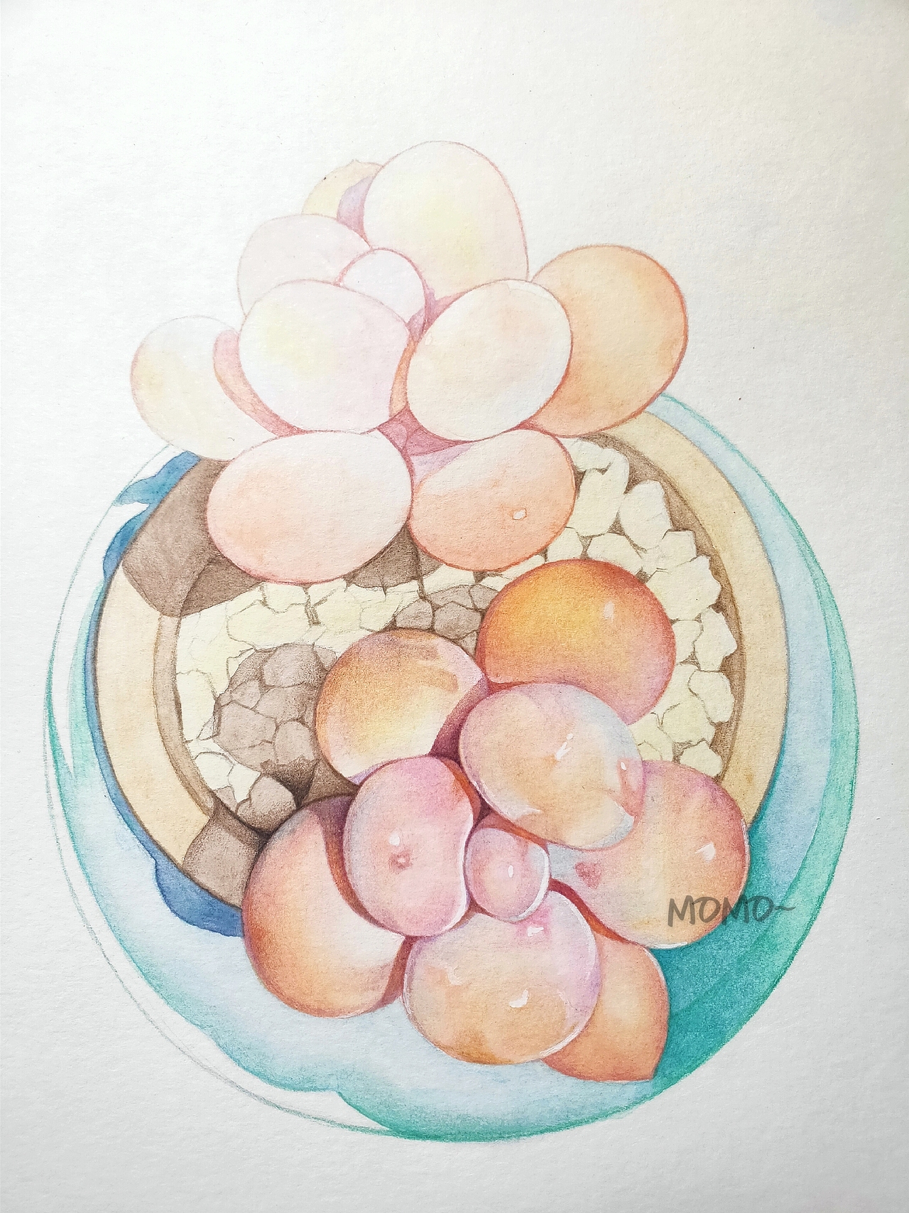 momo的彩铅世界（图ZMjAxNTM3NTA0） - 艺术插画 - 站酷设计师末末的彩铅世界原创素材 - 站酷ZCOOL