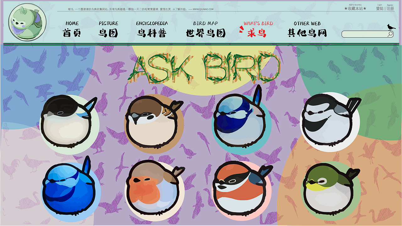 球鸟——ASK BIRD