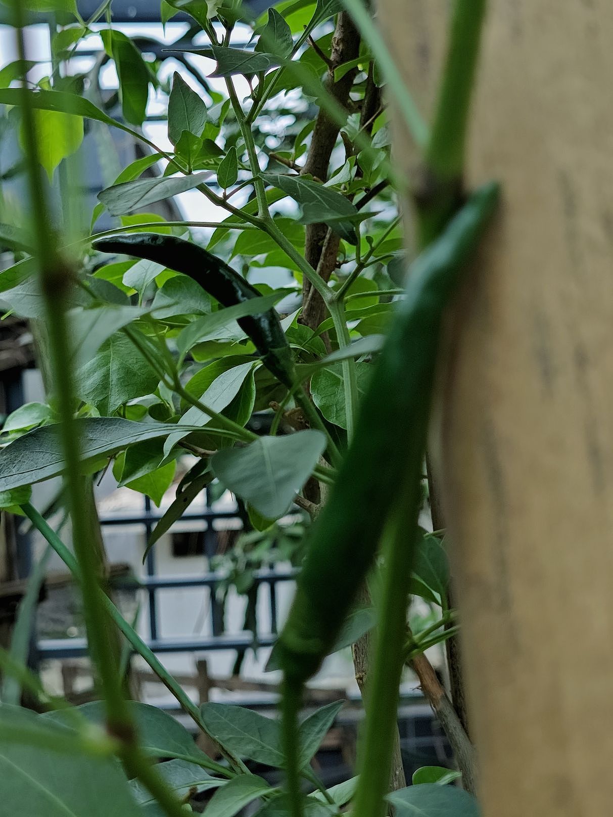 暴雨过后（图ZMzY4MDUzNTQ4） - 风光摄影 - 站酷设计师圆真王子原创素材 - 站酷ZCOOL