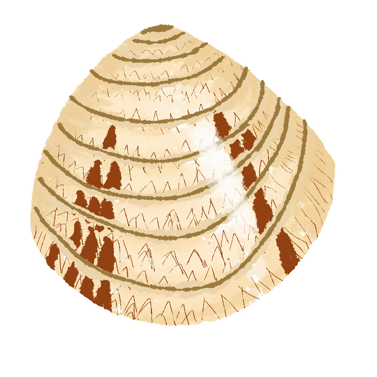 一些速涂的贝壳