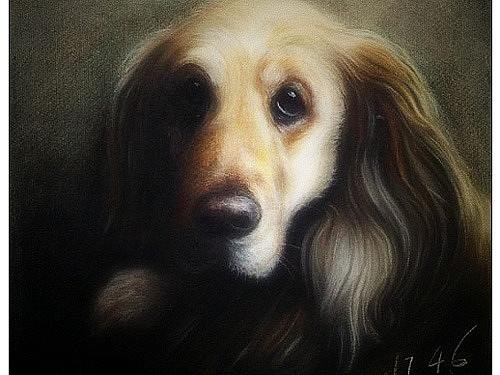 魏君丽肖像漫画艺术