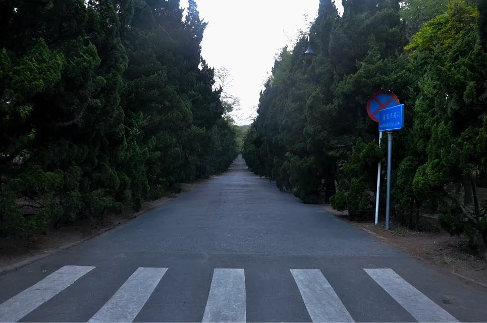 青岛海边随心拍