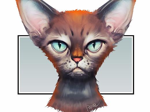 猫