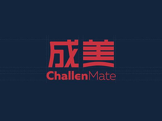 新加坡成美（国际）金融研究院 LOGO设计提案