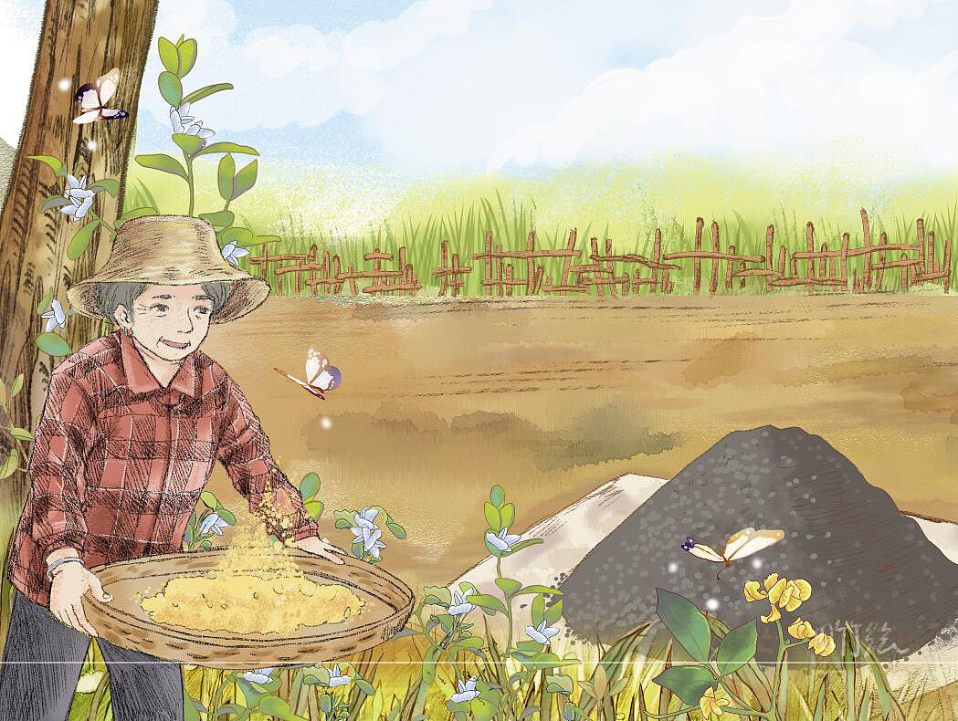 种庄稼的婆婆