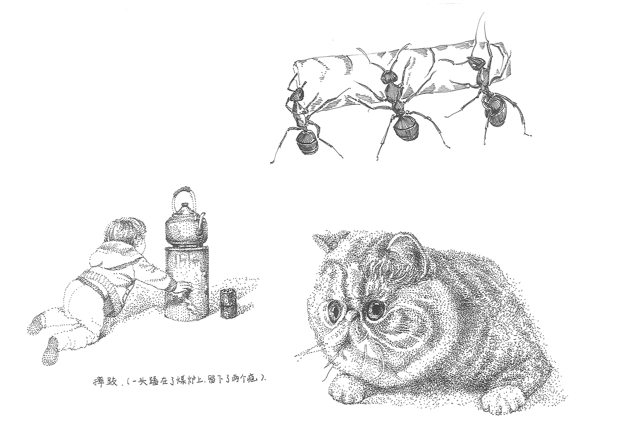 《一弹纸间》——绘本书籍（图ZODEzMDY4NjA=） - 书籍/画册 - 站酷设计师Yulia_玉莲原创素材 - 站酷ZCOOL