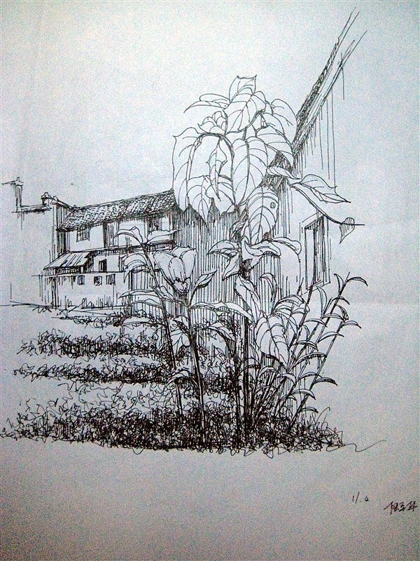 写生画（图ZMjk1NzU4OA==） - 商业插画 - 站酷设计师Lupinghua原创素材 - 站酷ZCOOL