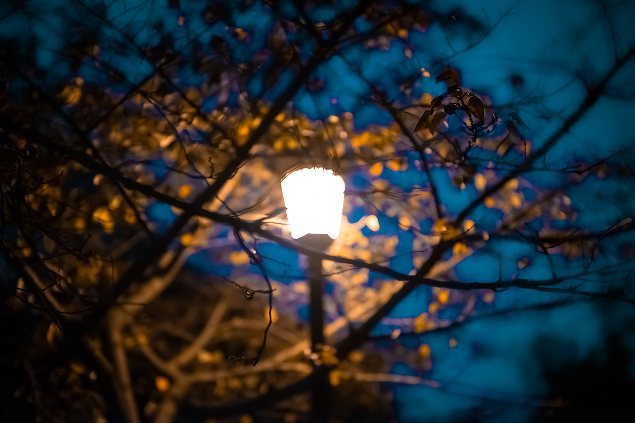 南京 零碎照片（图ZMTg1MDUwNTE2） - 人文/纪实摄影 - 站酷设计师JingPacify原创素材 - 站酷ZCOOL