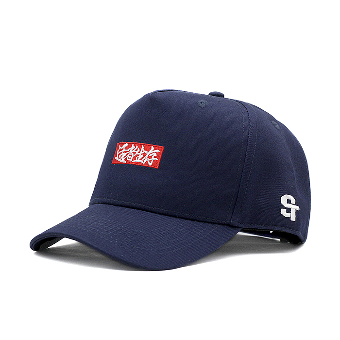 STRETAG 2017 S\S “STREETWISE适者生存” 弯檐棒球帽