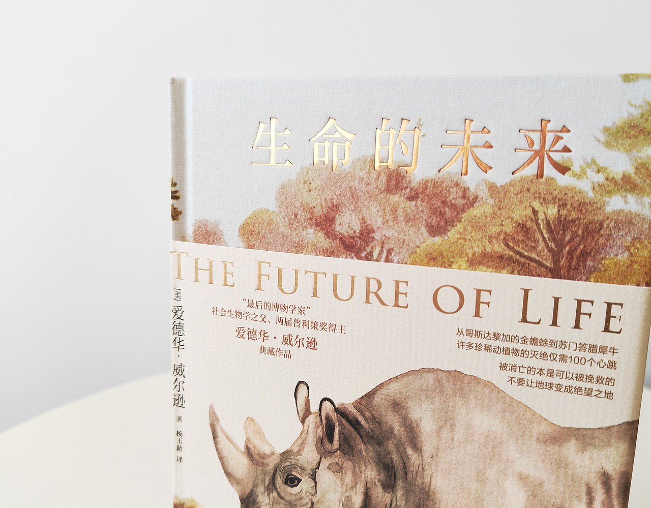 吾然设计——博物&生命（图ZMjc1NTUzODM2） - 其他 - 站酷设计师吾然设计原创素材 - 站酷ZCOOL