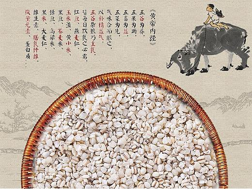 薏米详情