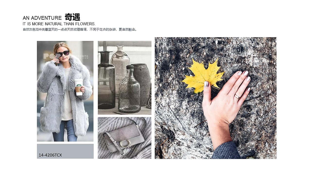 8月秋冬色-魔法森林-提案