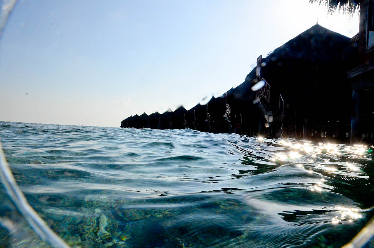 马尔代夫游记 - 梦幻岛 - 四晚六天（图ZNTM5NzkyMA==） - 风光摄影 - 站酷设计师blue_hermit原创素材 - 站酷ZCOOL