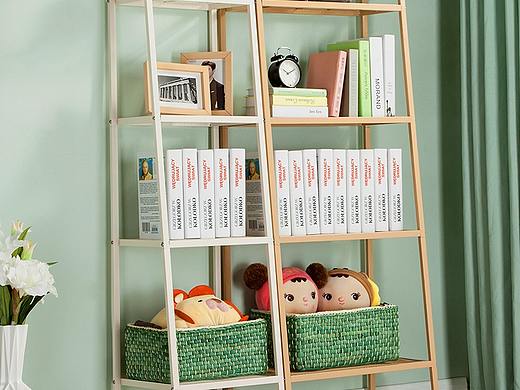 碳钢简易书架详情