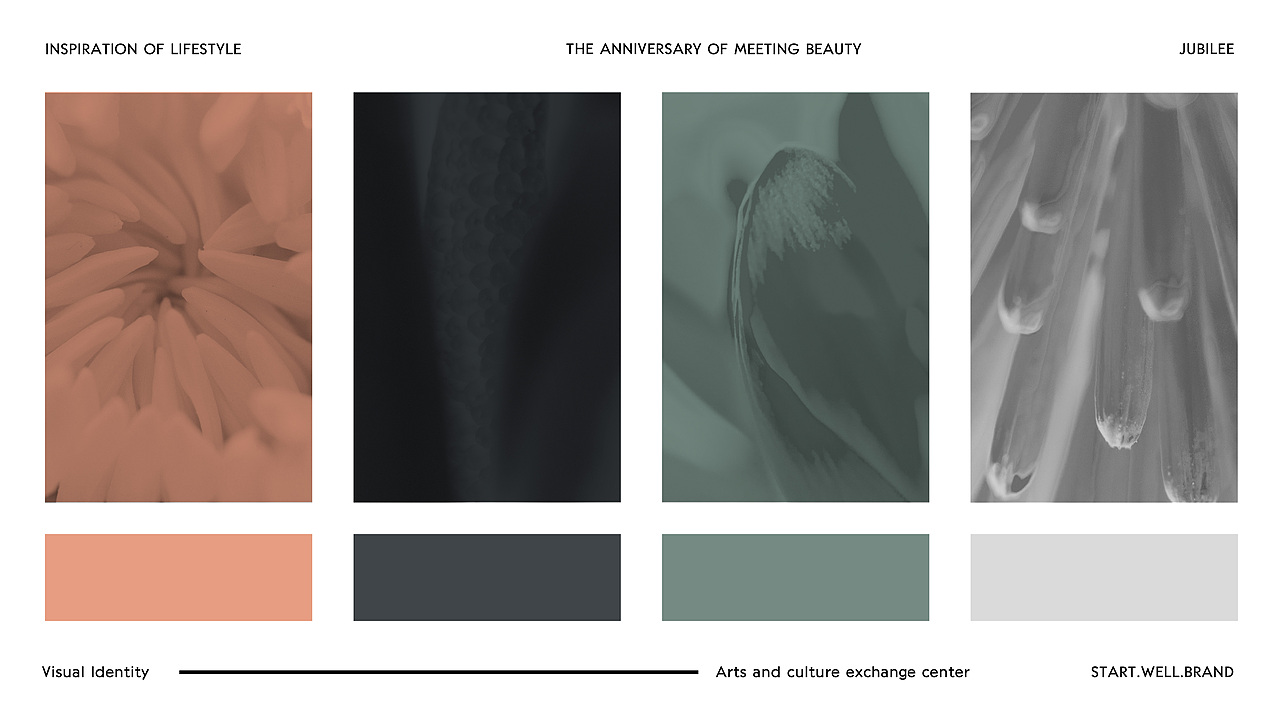 女性健康/养生/滋补品牌LOGO-VI系统视觉提案