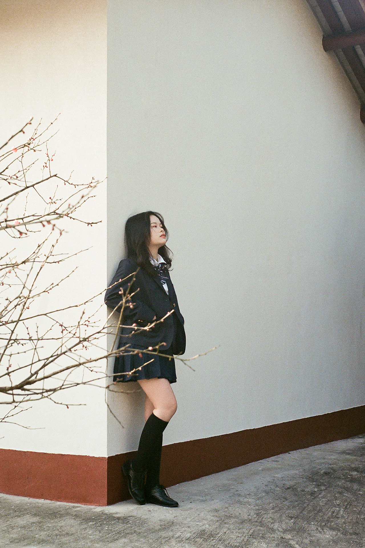 想不出标题来,就随便发发照片