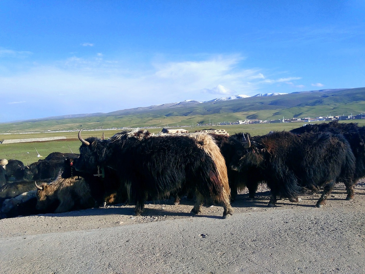 北上西行：青海纪行（图ZNTExMTQ1NTY=） - 风光摄影 - 站酷设计师KIKYOU85原创素材 - 站酷ZCOOL