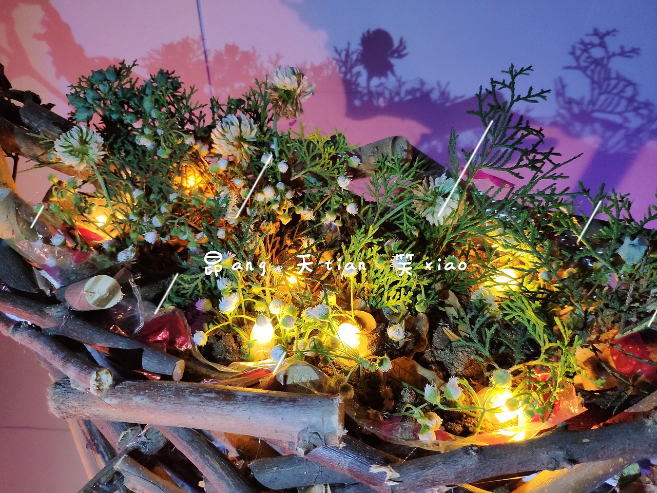 立体构成作业(仿生设计)