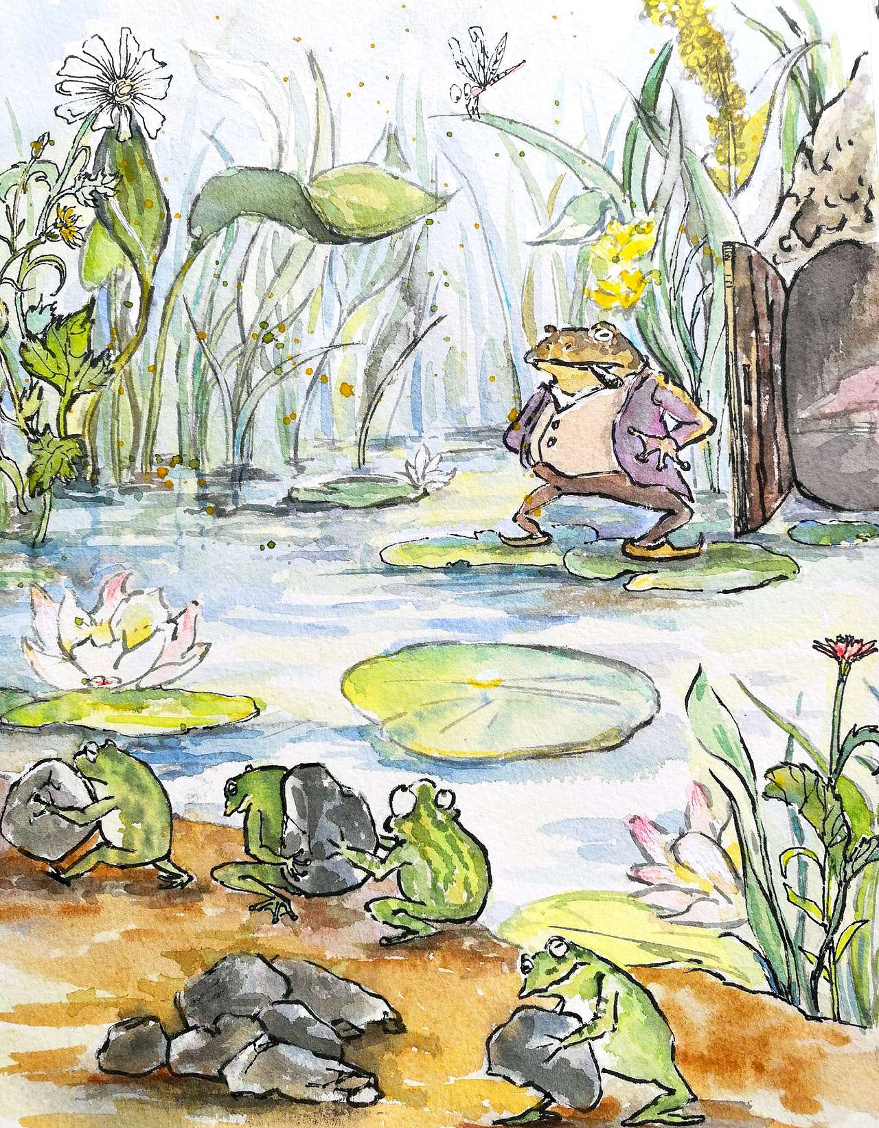 宫泽贤治童书内插(已商用)