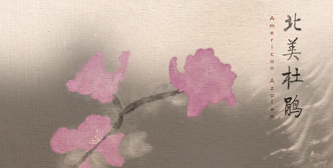 A Living Art（图ZMTUxNDkxMDg0） - Motion Graphic - 站酷设计师Z45186597原创素材 - 站酷ZCOOL