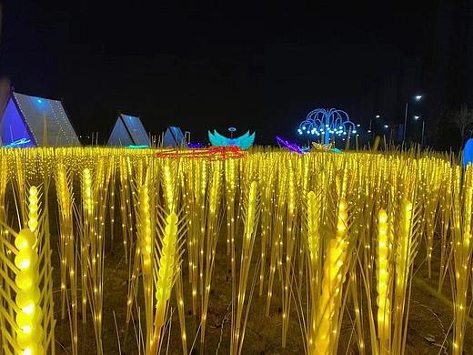 户外大型灯光节 天幕装饰亮化 景区广场灯光道具摆件