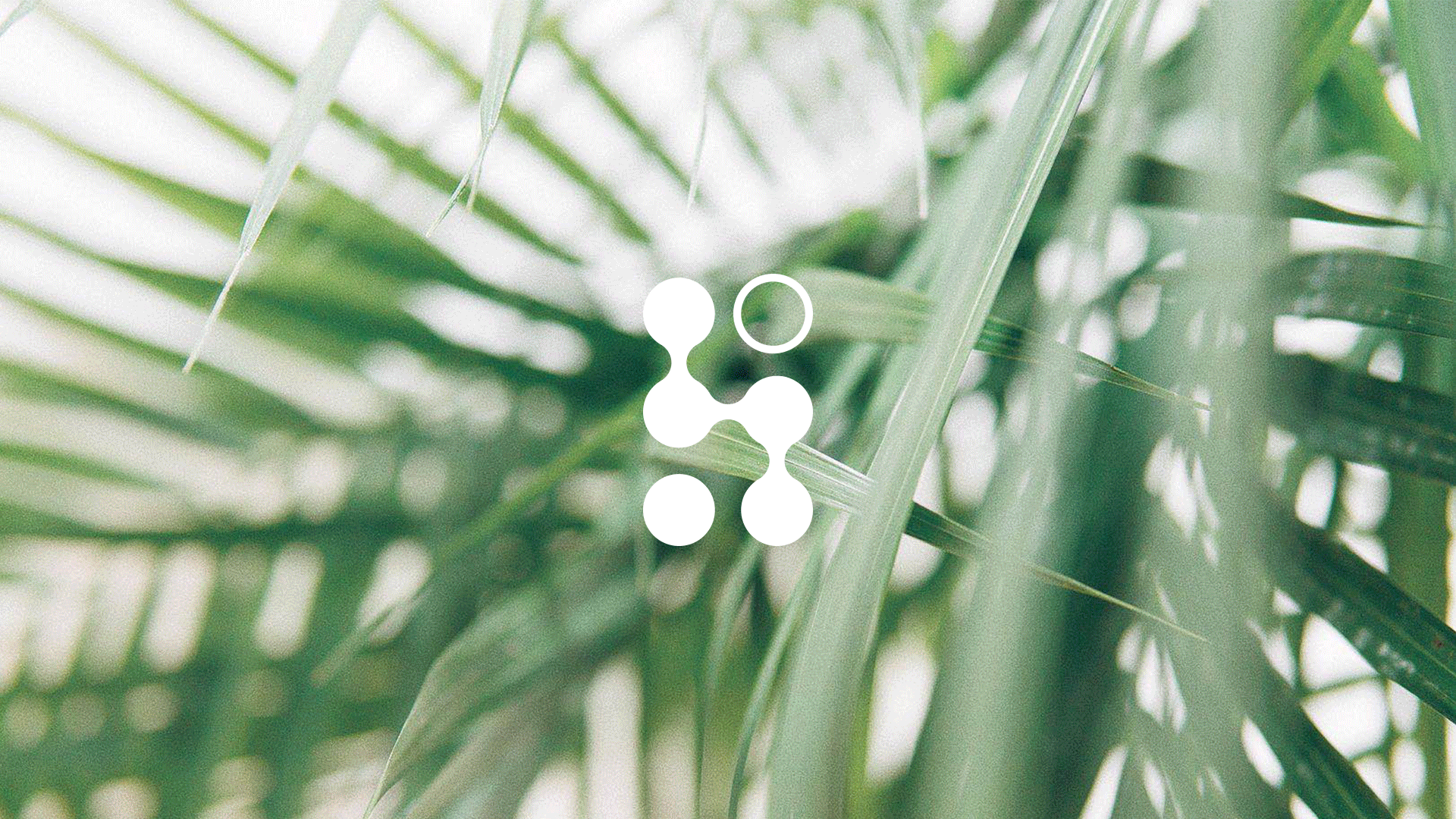 生物质品牌LOGO设计