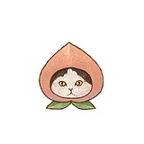 tae_tae的头像